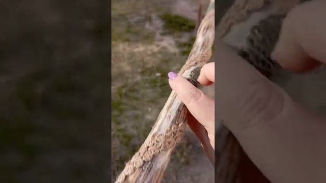 посохи дождя самодельные смотреть онлайн