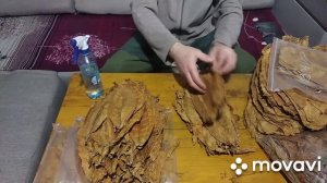 Табак Измир и Тернопольский 14 отправляем на ферментацию.