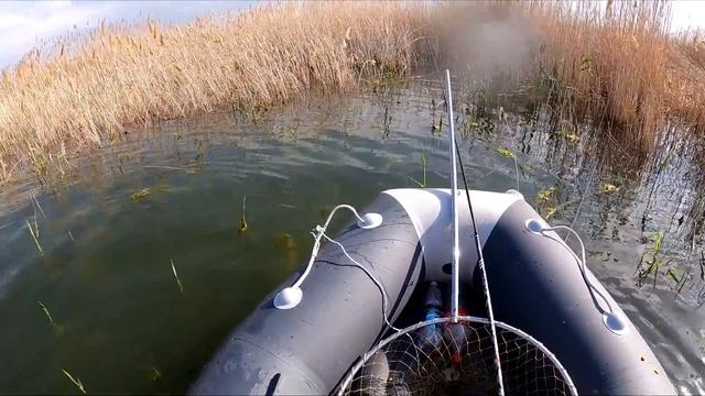 Рыбалка на ЗАКИДУШКИ И ПОСТАВУШКИ Дикий САЗАН дал жару и потаскал нас на лодке! Сазан, Карась, Лещ смотреть онлайн