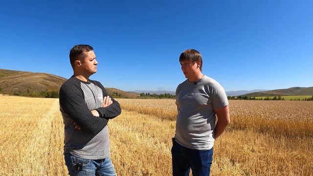Александр Сунцов о сортах пшеницы от компании ЭкоНива Семена смотреть онлайн