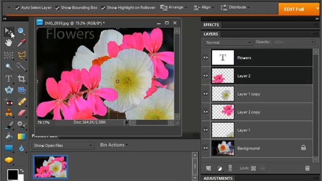 Photoshop Elements 9.0 Tutorial Moving Layer Content with the Move Tool Adobe Training Lesson 10.5 смотреть онлайн