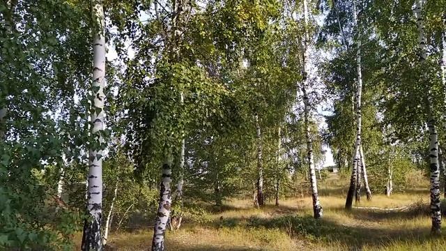 11 августа-РОЖДЕСТВО НИКОЛАЯ УГОДНИКА. Зная запреты, можно правильно провести день смотреть онлайн