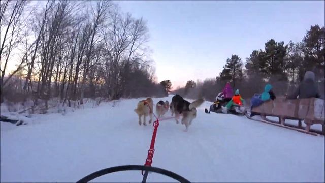 Мурманская обл, Ловозеро, катание на снегоходах, хаски смотреть онлайн