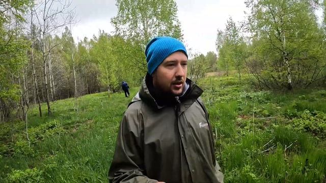 Живучка ползучая - безгубый цветок смотреть онлайн