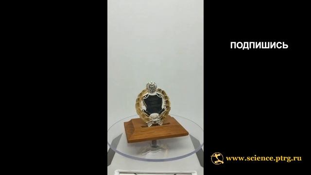 №1936 Нагрудный знак "КАНДИДАТ СЕЛЬСКО-ХОЗЯЙСТВЕННЫХ НАУК", парадный, круглый, серебро с позолотой смотреть онлайн