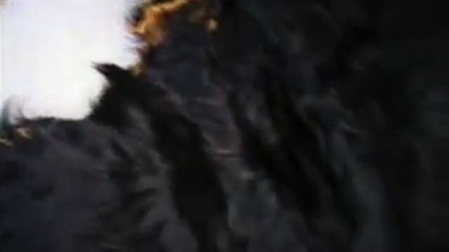 Меховой жилет смотреть онлайн