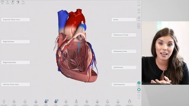 New Features of Complete Anatomy 2018 | Live смотреть онлайн