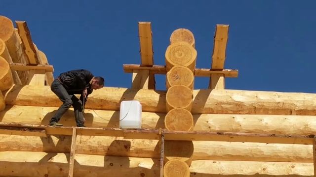 Обработка сруба из кедра антисептиком. Компания Медвежий лог смотреть онлайн