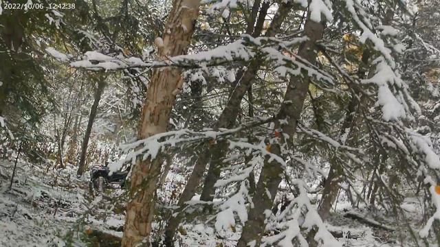 Поездка в лес на квадроцикле! CF MOTO X5 HO! Сахалин! Октябрь снег! смотреть онлайн