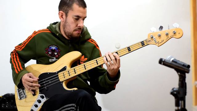 Fender Jazz Bass Ri 75 Japan Audio/Sound Test - Nahuel Gomez смотреть онлайн
