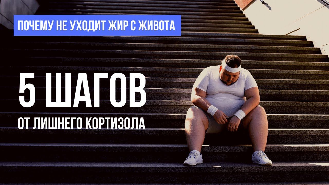 ПОЧЕМУ НЕ УХОДИТ ЖИР с живота. 5 шагов как снизить уровень кортизола в организме и худеть легко смотреть онлайн