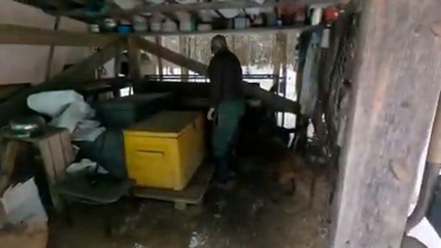 Musher's Tails: Feeding the Dogs смотреть онлайн