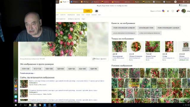 Железов Валерий Вебинар 110 ч 3 Про Шарафугу смотреть онлайн