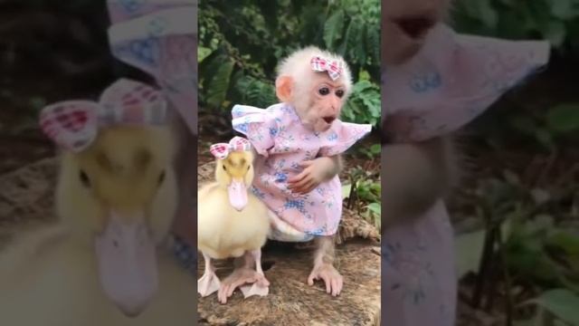 друзья смотреть онлайн