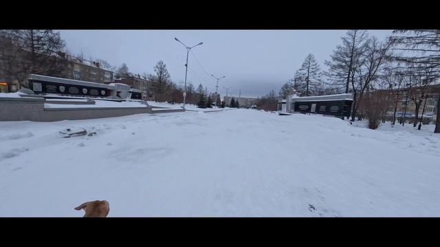 2023-01-28 смотреть онлайн