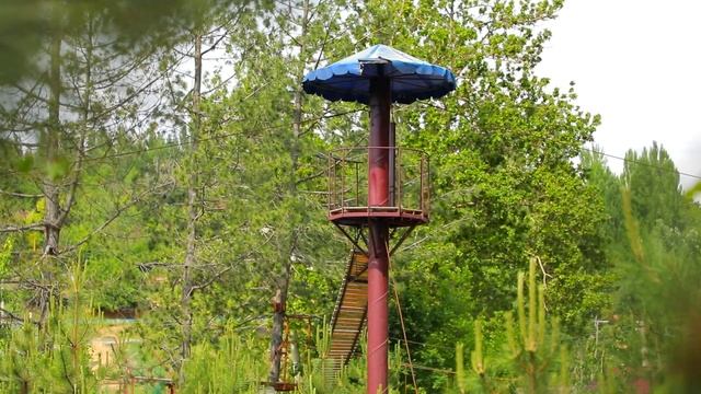 Эдельвейс зона отдыха в Кумышкане смотреть онлайн