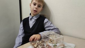 Проект «Чем накормить муравьев-жнецов»