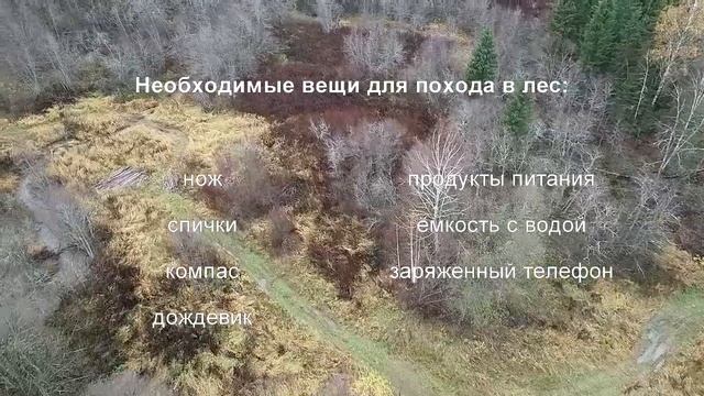 О безопасности в лесу смотреть онлайн