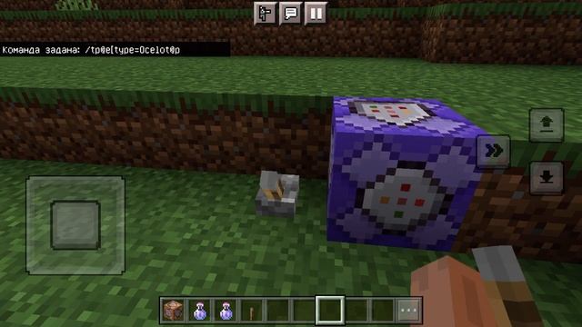 Как превратится в оцелота в Майнкрафт смотреть онлайн