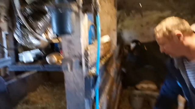 Еду покупать корову, даёт 40 литров молока. смотреть онлайн