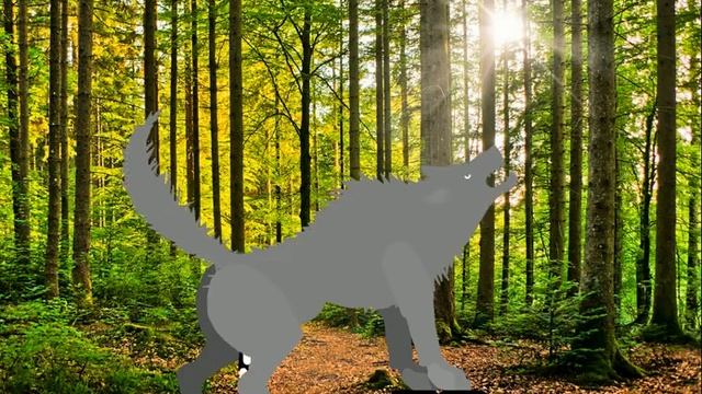 wolf unbirth смотреть онлайн