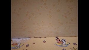 КАК ВЫГЛЯДИТ ПОТОЛОК ИЗ ГИПСОКАРТОНА БЕЗ ФИНИШНОЙ ШПАТЛЕВКИ, НО ПОКЛЕЕННЫЙ ОБОЯМИ