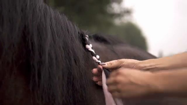 Фотосессия с конем. Или как мы из Рафы трансвестита сделали :D смотреть онлайн