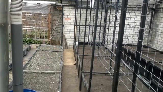 Огород.Опора для томатов . смотреть онлайн