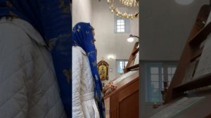 Милость Мира (Касторского)