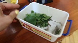 Кира приехала / У меня перемены  / ВЛОГ Маричка Лайф
