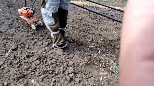 29/04/2022. Посадка ежевики | Часть 1. смотреть онлайн