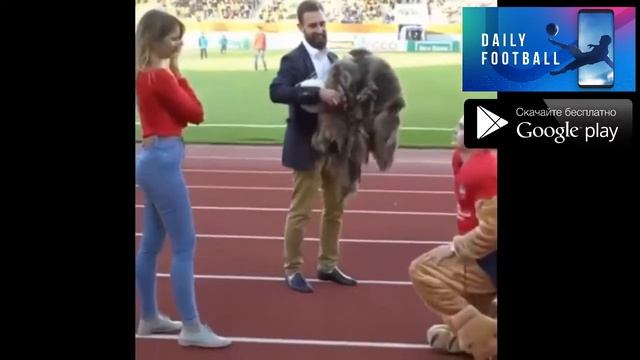 Сделал предложение девушке смотреть онлайн