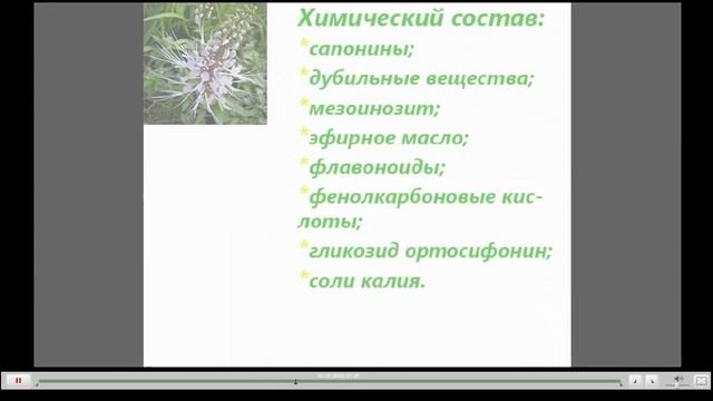 Почечный чай Полезные свойства смотреть онлайн