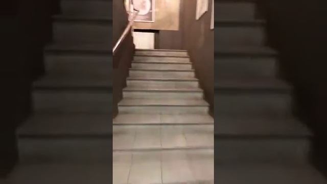 2 Москва, Декабристов ул д 15с2 смотреть онлайн