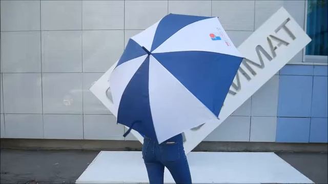 Серия 654. Новые зонтики! смотреть онлайн