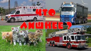 Что лишнее? Найди отличия! Развивающие видео про ТРАНСПОРТ на логику