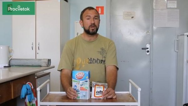 СУПЕР СПОСОБ отравить огород  Сода   @Procvetok