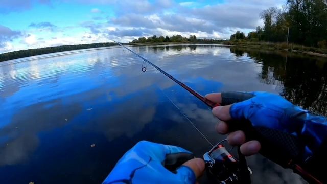 Бюджетный спиннинговый комплект от Daiwa Ninja.Рыбалка в Ленинградской области#fishing #daiwa#окун смотреть онлайн