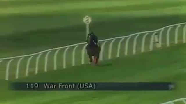 Лошадь который быстро бегает смотреть онлайн