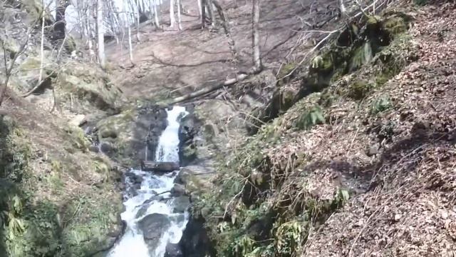 Тропа здоровья Сочи Красная Поляна смотреть онлайн