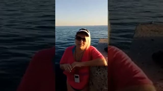 Ужалила оса , помощь Лайф Баланса смотреть онлайн