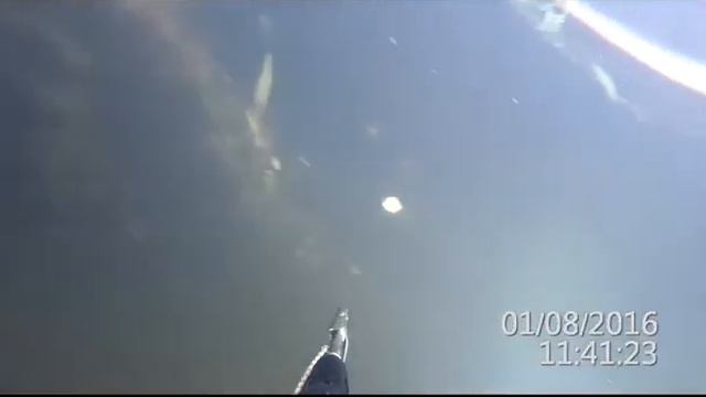 Черепаха в Клязьме смотреть онлайн