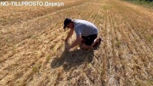 Десикация аммиачной селитрой. ПЕРВЫЙ ДЕНЬ УБОРКИ озимой пшеницы 2021