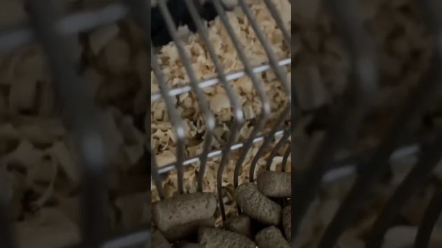Мальчик крыса родил))) смотреть онлайн