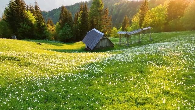 Мягкая расслабляющая ? Музыка для крепкого сна и отдыха для души