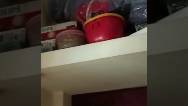 house for sales at gated community смотреть онлайн