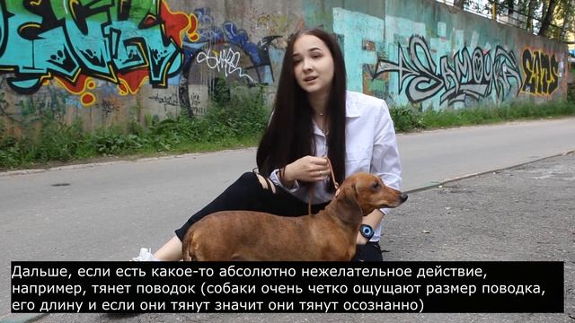 Что такое контроллер и как его использовать