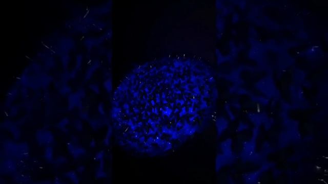 букет из бабочек #букет #топ смотреть онлайн