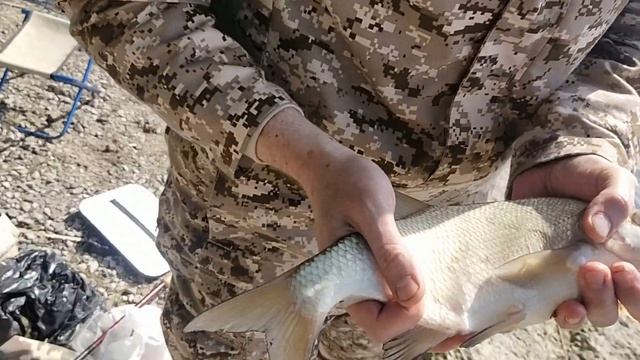 АКСАЙСКИЕ ПЛИТЫ. ПОЙМАЛИ ЛЕЩА. смотреть онлайн