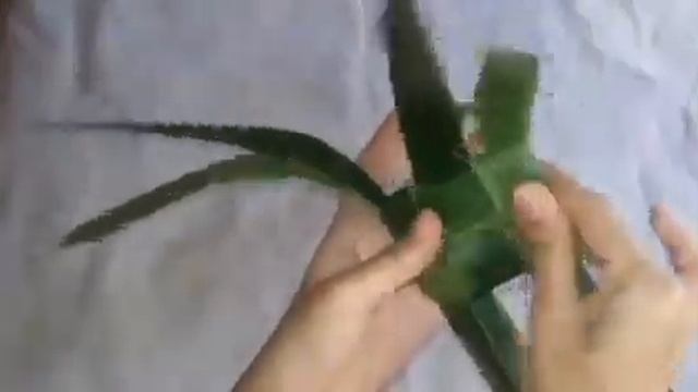 20 amazing coconut leaf crafts| coconut leaf art| coconut leaf craft ideas смотреть онлайн
